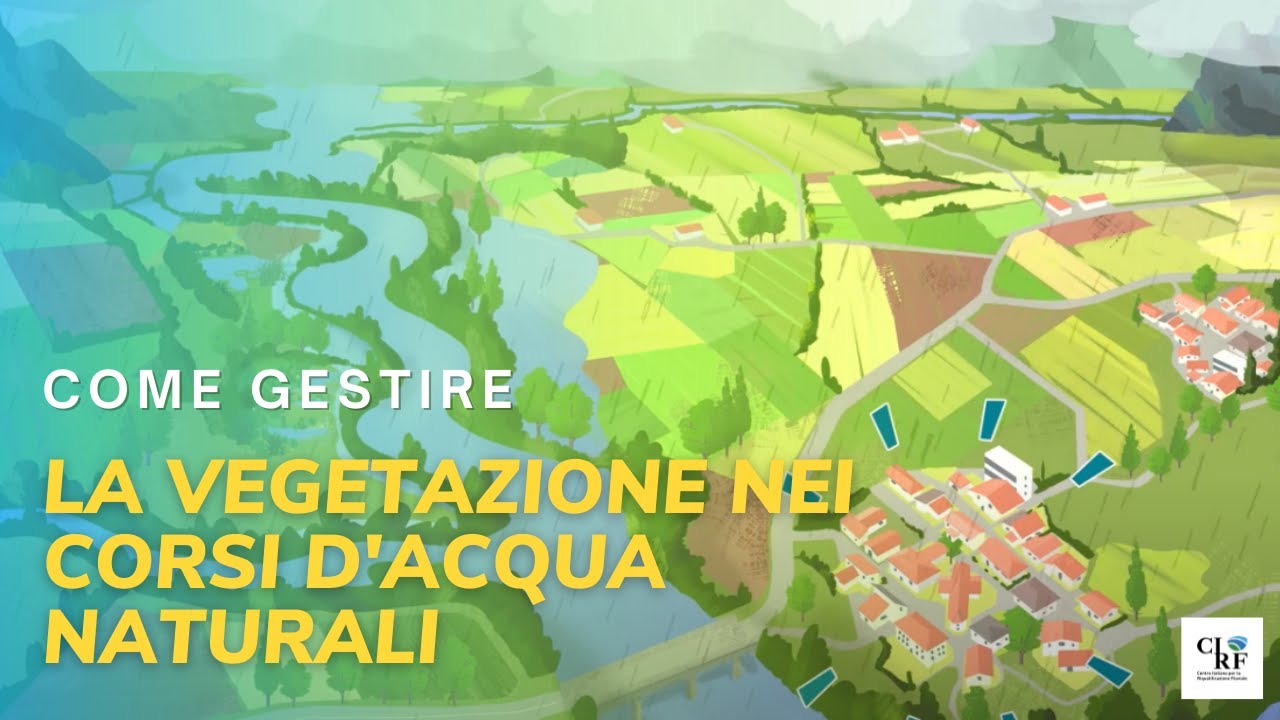 La gestione della vegetazione nei corsi d'acqua naturali