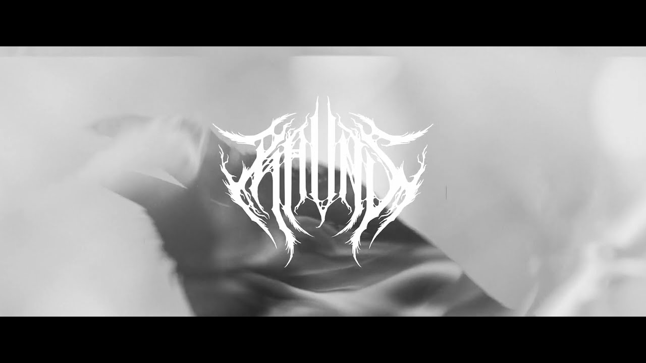 RAVNS - The Hollow, The Voiceless