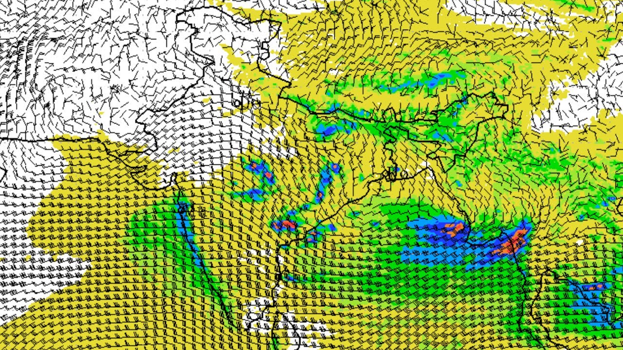 Monsoon Set to Advance Further; IMD Warns of Heavy Rain and Heatwave Conditions