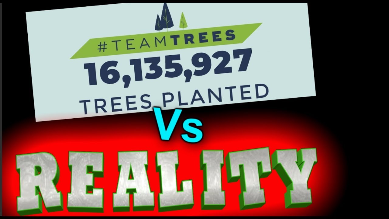 TeamTrees против РЕАЛЬНОСТИ!!