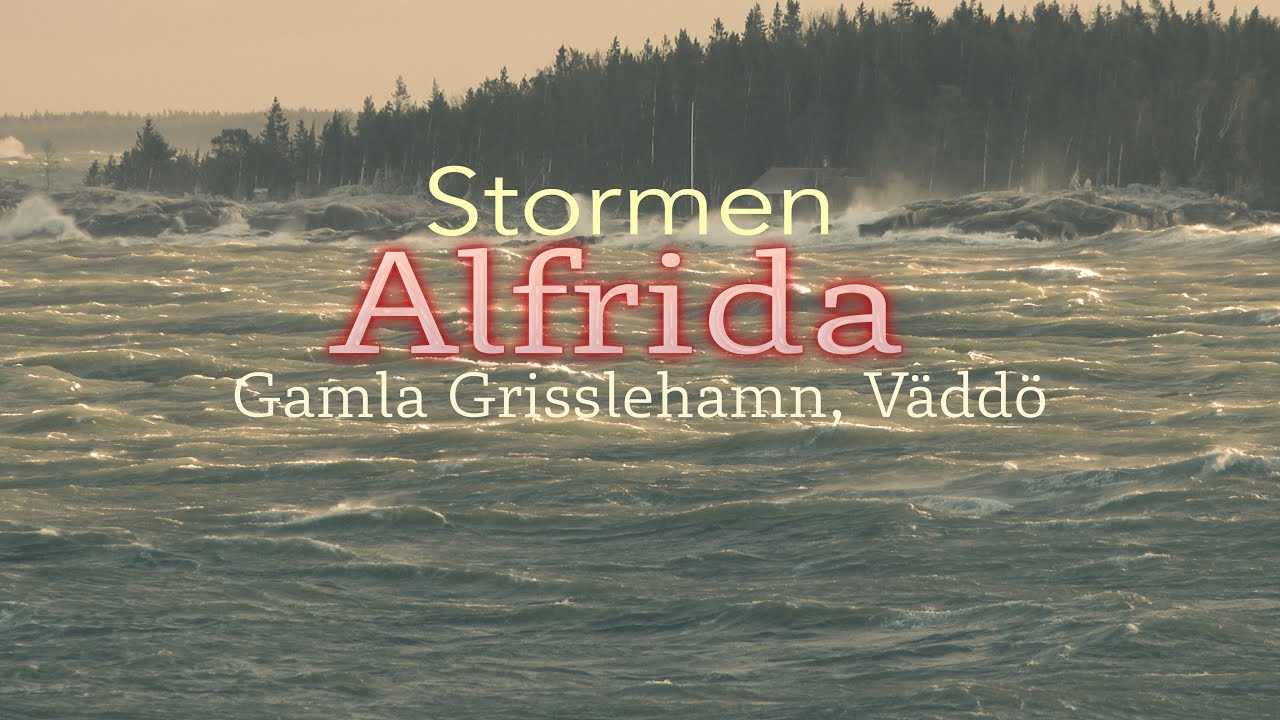 Alfrida - Gamla Grisslehamn - V&auml;dd&ouml; 2 jan 2019 - Melker Stendahl