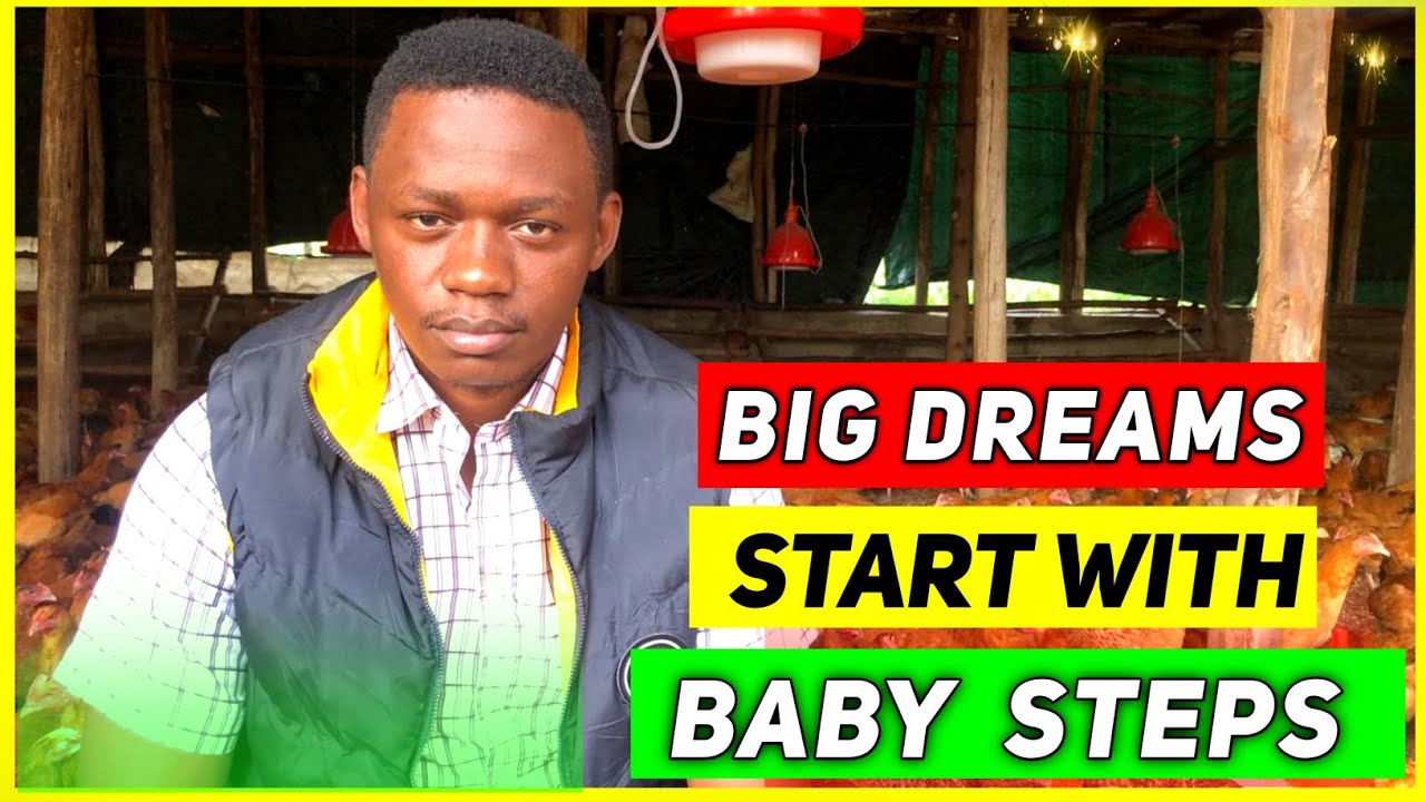 Best Time To Start  A Poultry Farm