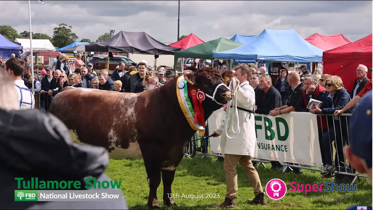 Tullamore Show 2023 Agricultural Show - Ireland's Premier Show FBD National Livestock Show