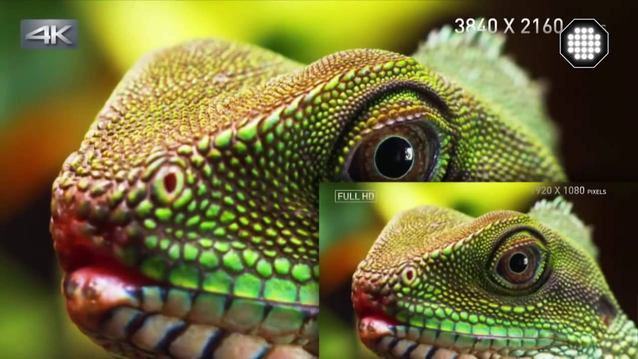 Чем 4К видео отличается от FullHD Сравнительные характеристики