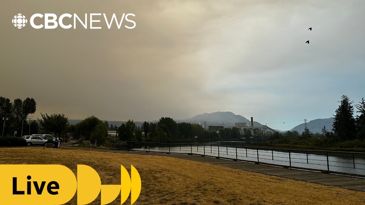 Officials gives update on Mount Underwood fire near Port Alberni, B.C. | CBC News