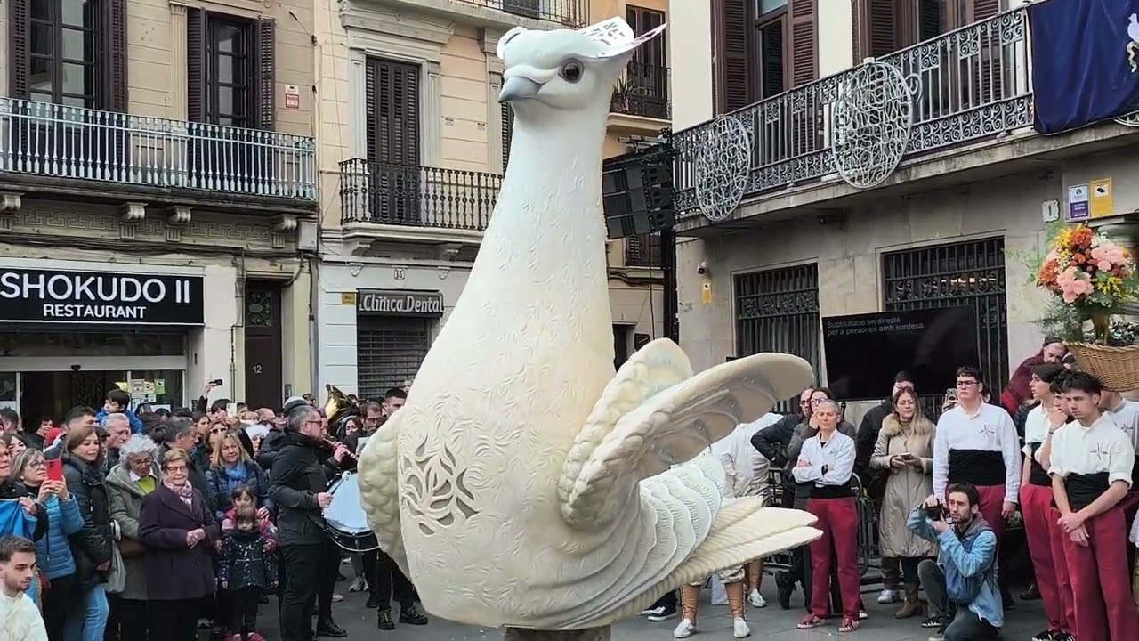 Ball del colomi de Sant Andreu de Palomar al Mati de Festa Major 