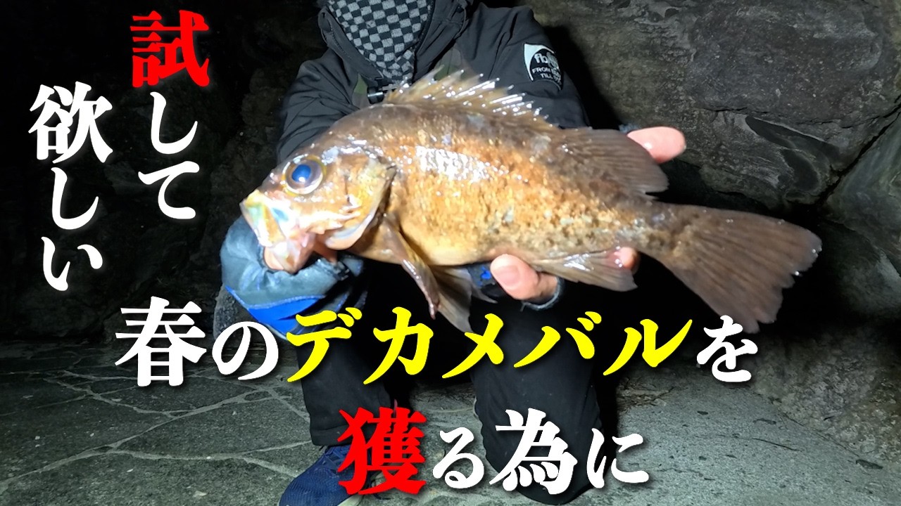 【メバリング】春のデカメバルを狙うならコレ試して下さい。普段やらないポイントが激アツポイントになります。