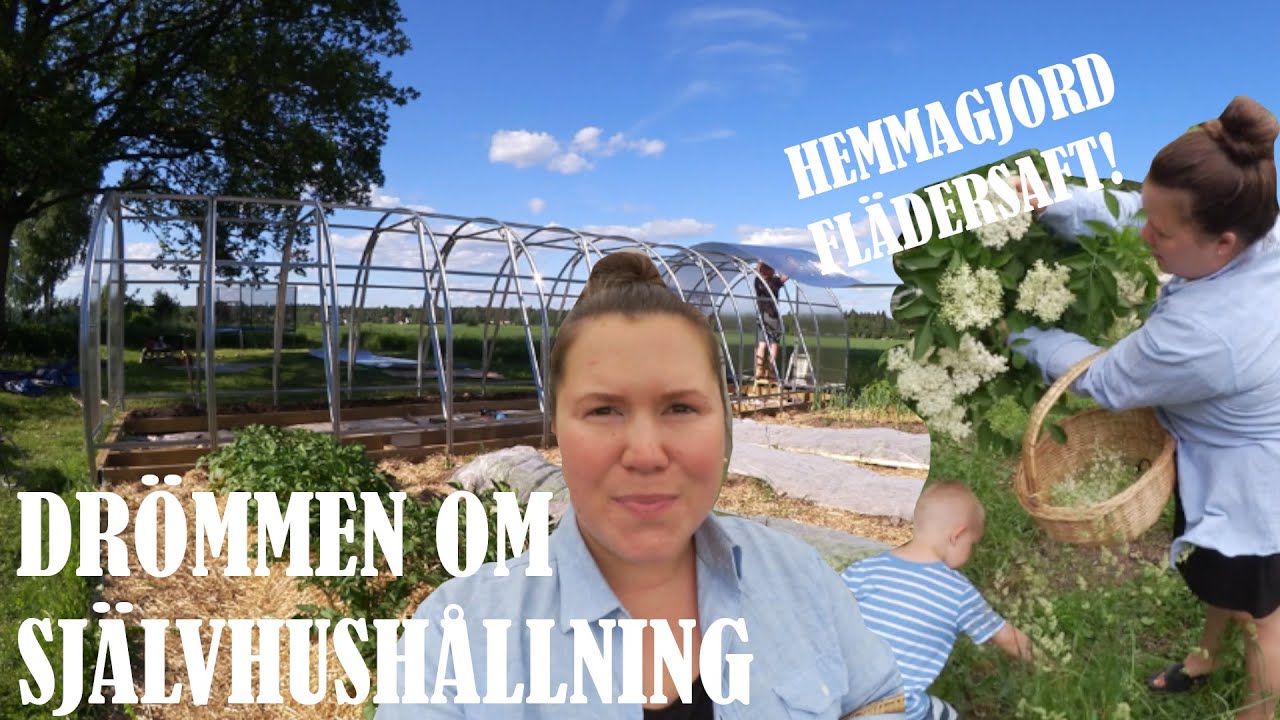 DRÖMMEN OM SJÄLVHUSHÅLLNING DEL 5 - Får på plasten på vårat växthus!