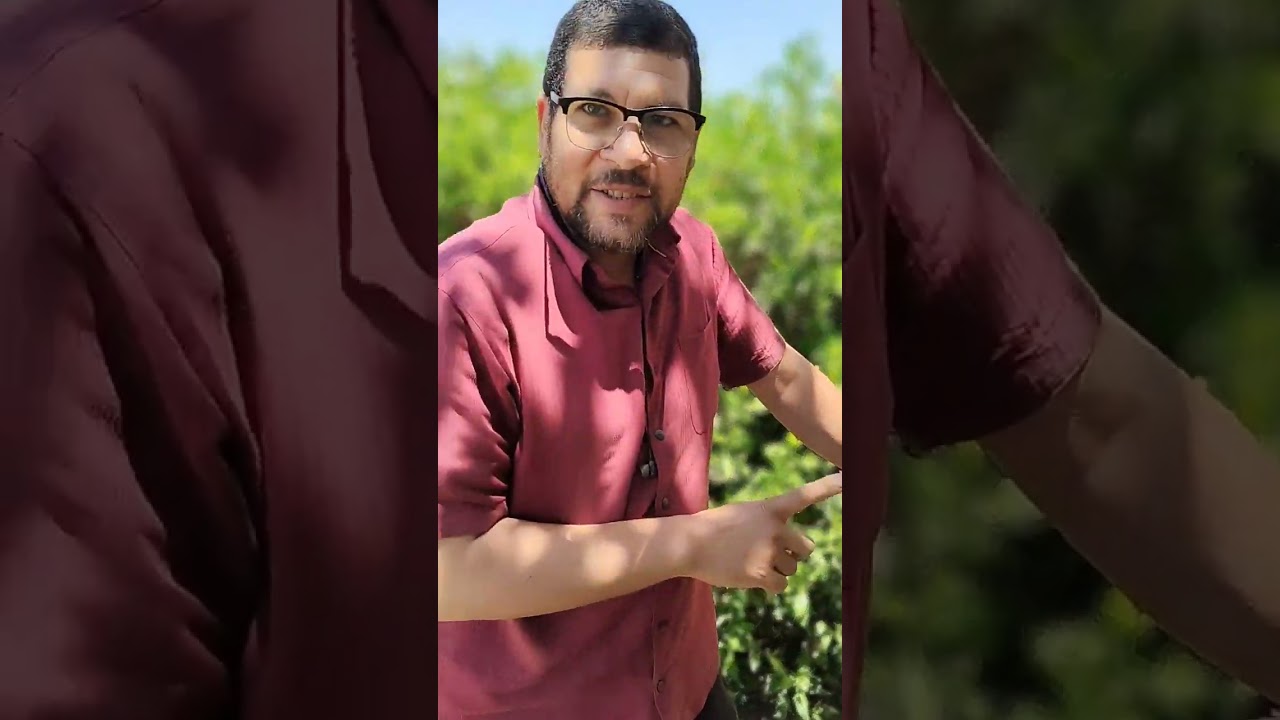 اول مراجعة الاسكوتر الكهربائي سيمبا بعد تجربة أسبوع