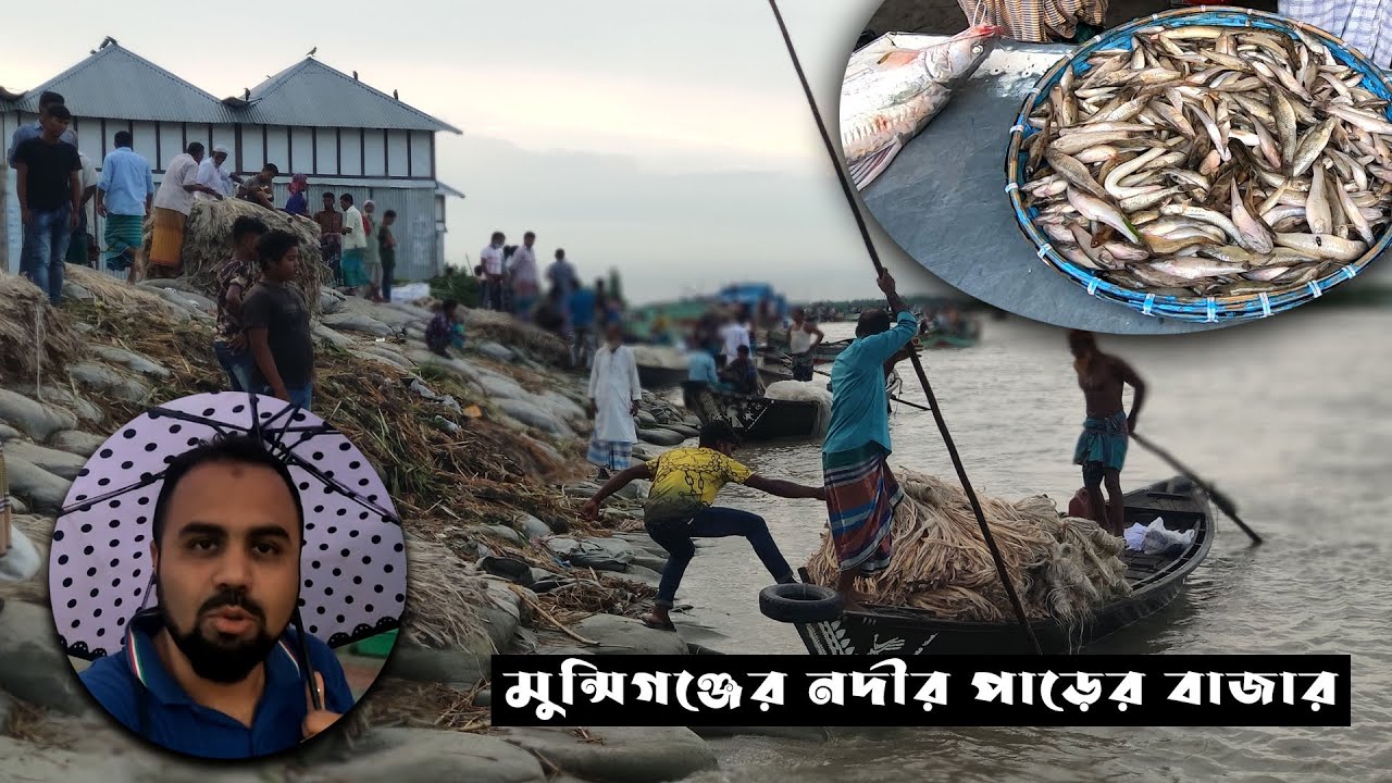 পদ্মার পাড় থেকে পাইকারি রেটে মাছ কেনা | দিঘীর পাড়, মুন্সিগঞ্জ | Munshiganj Fish Market