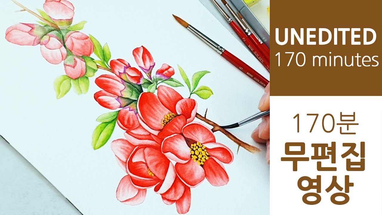 [170분 무편집 영상] 수채화 산당화, 명자나무 꽃 그리기ㅣ감성 피아노 연주곡
