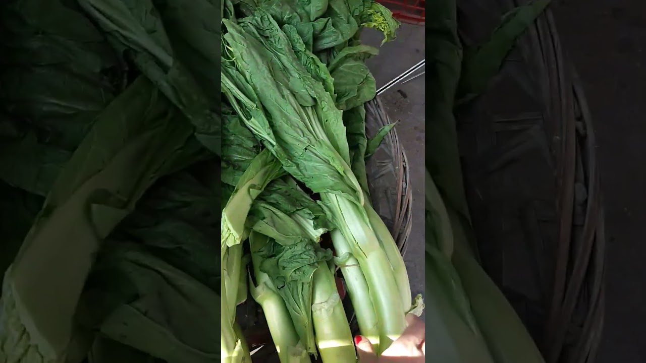 🇹🇼🤑Taiwan kind of Fresh Vegetables #shorts #viral #trending #vlog #shortsfeed