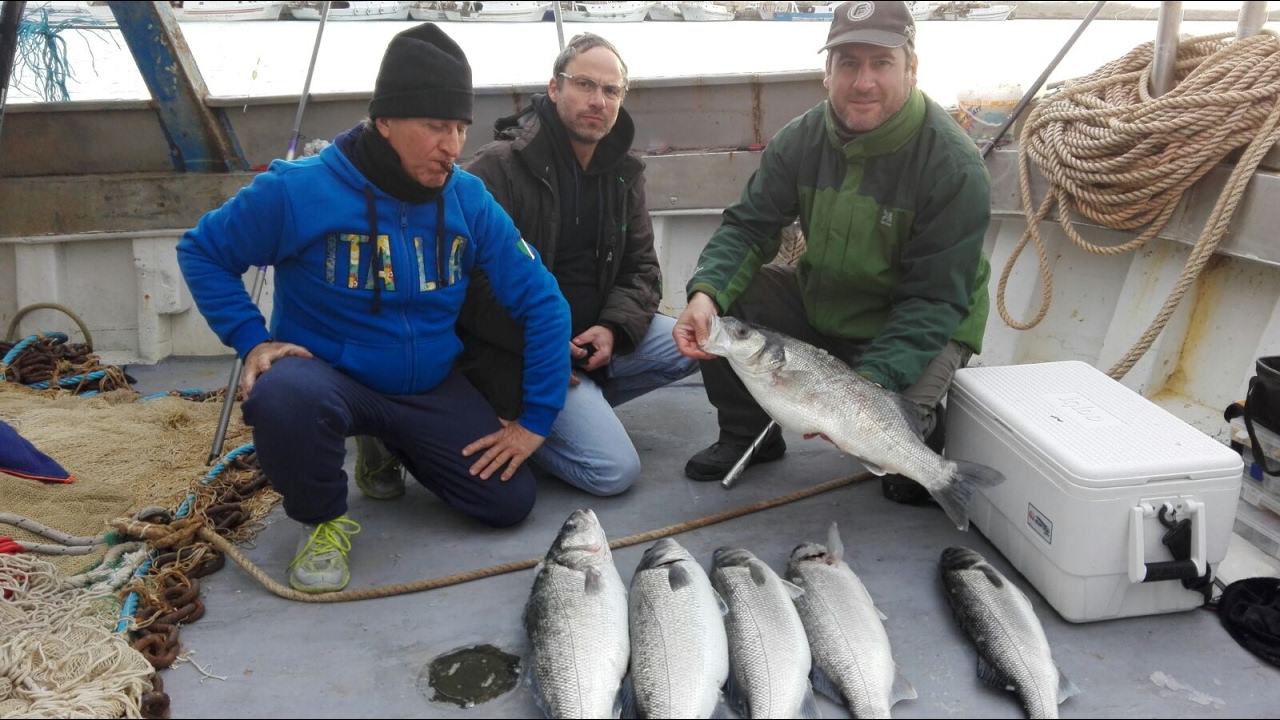 Gran pescata a spigole al porto di Sciacca sei catture oltre i 5,5 Kg Riprese video con sj 5000 x