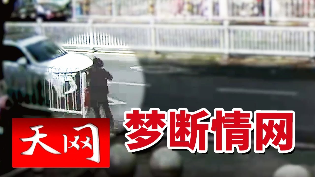 《天网》“天降姻缘”竟是致命陷阱！女子购房款77万元遭劫 报警后牵出幕后“操盘手” 20251013