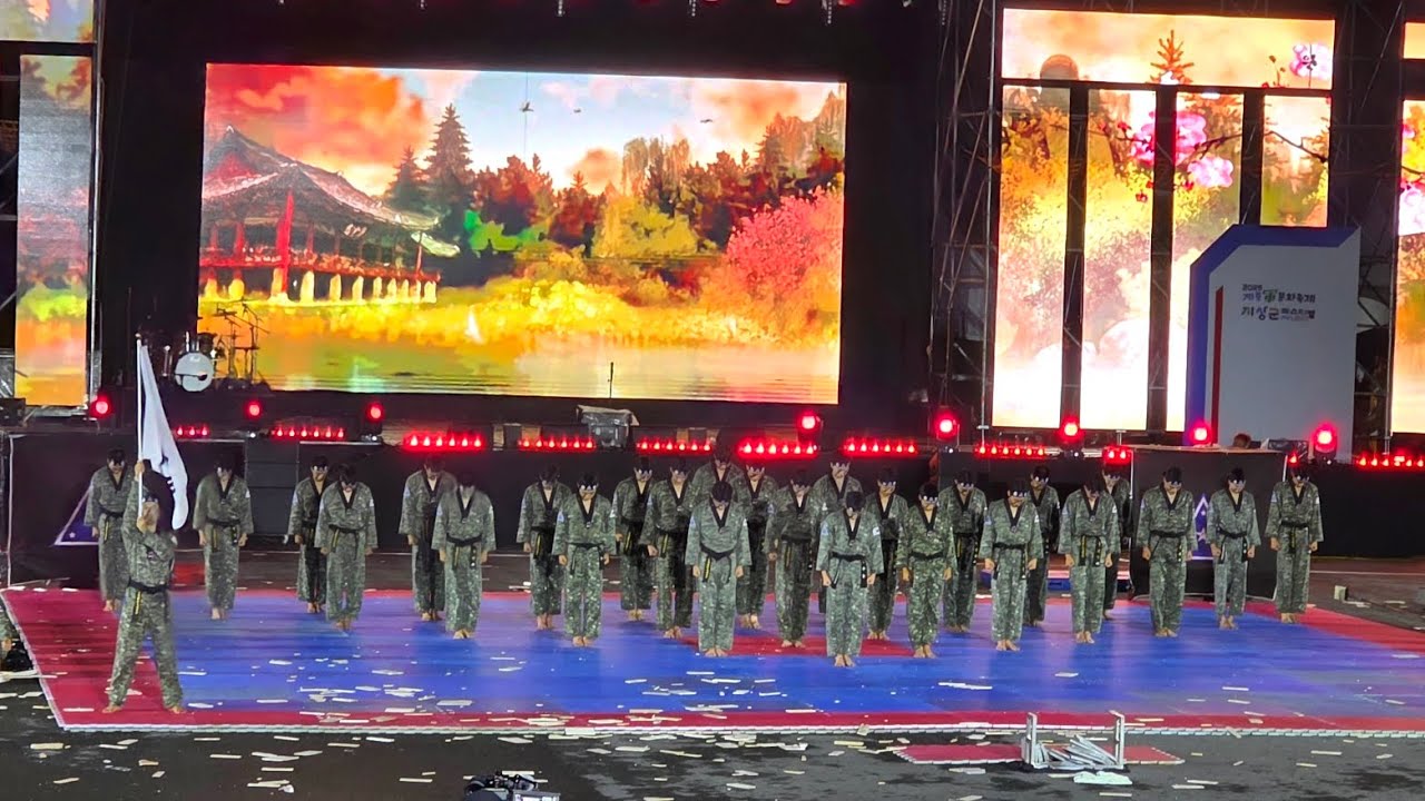 계룡군문화축제 지상군페스티벌 개막식 육군태권도시범단 공연 
