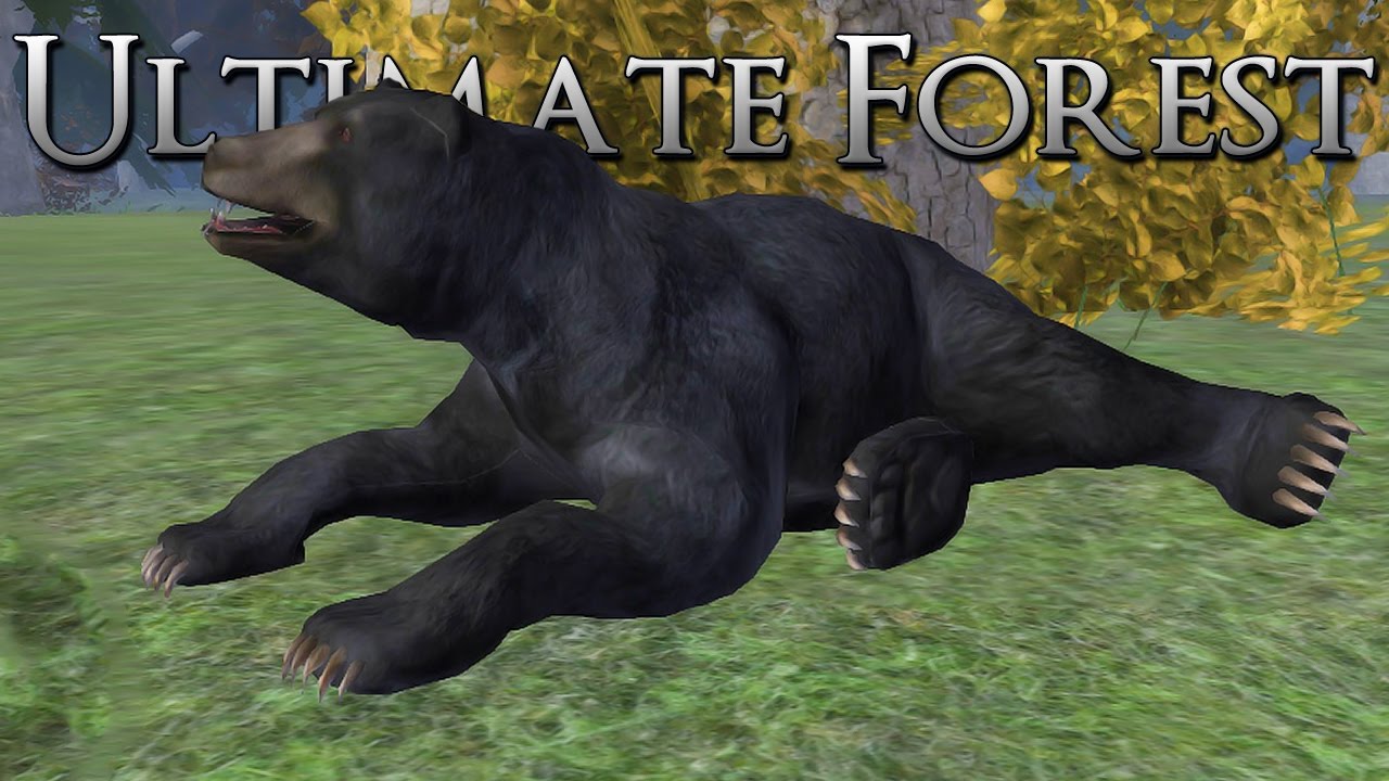 Healing Our Honey-Sweet Cub!! &bull; Ultimate Forest Simulator
