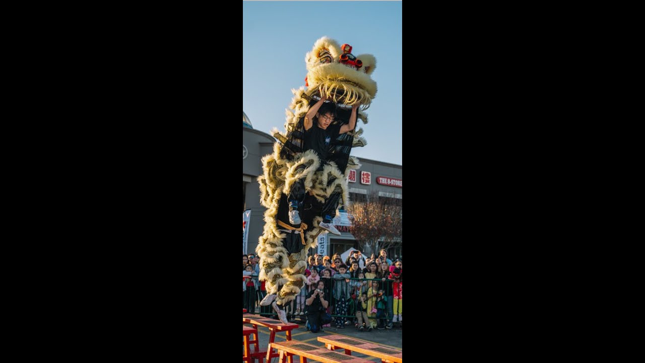 HV Lion Dance - Drum Show & Bench Routine - Viet Hoa