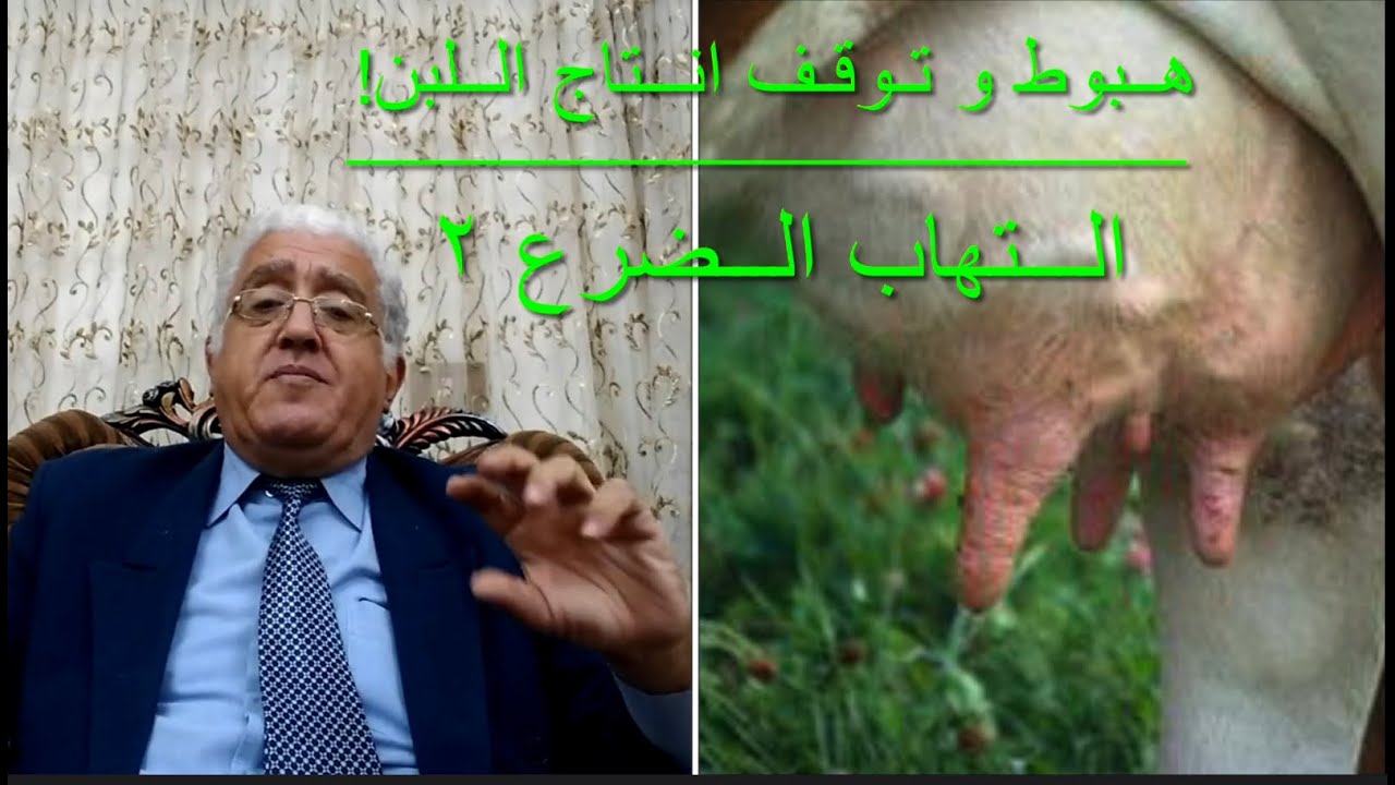 إلتهاب الضرع ٢