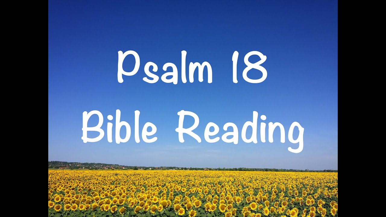Psalm 18 - NIV Version (Bible Reading with Scripture/Words)