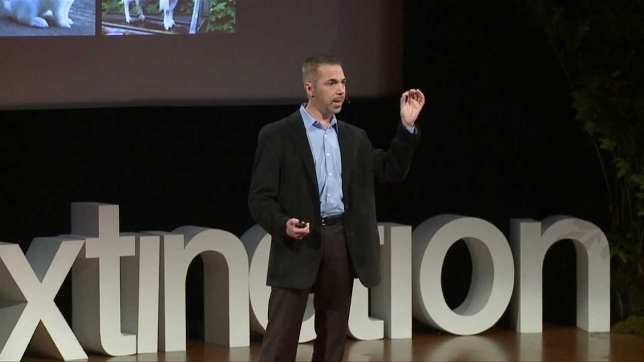 The use of cloning and stem cells to resurrect life: Robert Lanza at TEDxDeExtinction