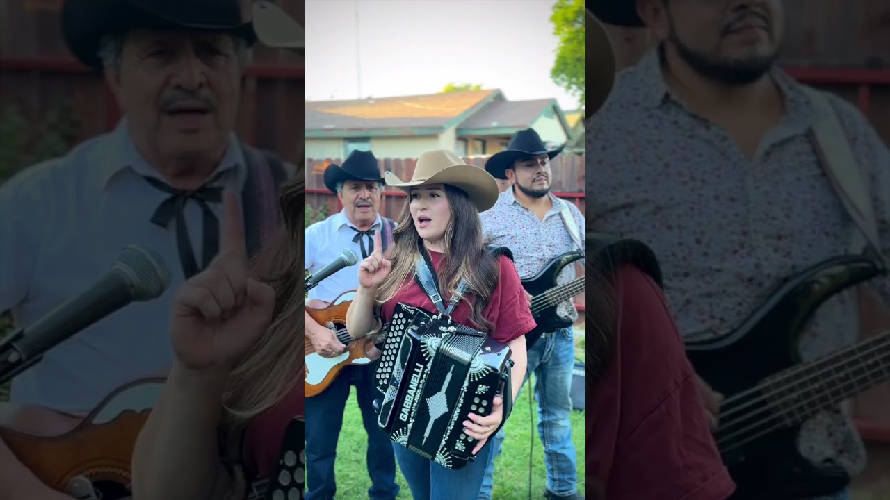 La Mesera | Los Reales del Norte #acordeon