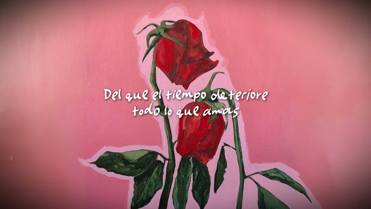 Damaris Bojor - No es el Final (Lyric Video Oficial)