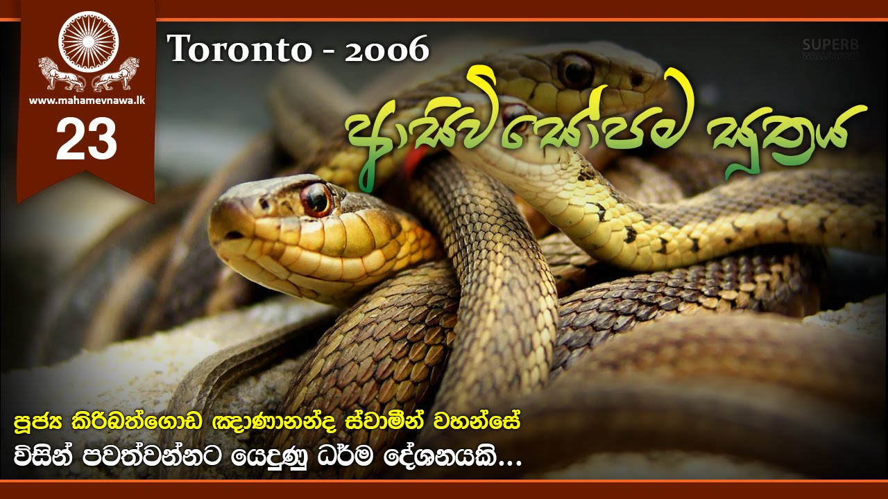 14 Asivisopama Sutta (ආසිවිසෝපම සූත්‍රය) ~ Ven. Kiribathgoda Gnanananda Thero