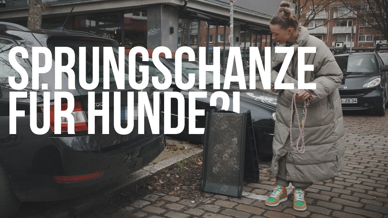 Sprungschanze für Hunde?!