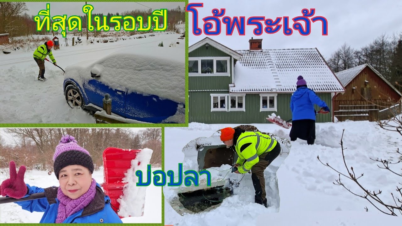 โอ้พระเจ้า😲หิมะมาท่วมท้นจนคุณแรมโบ้ขับรถไปทำงานไม่ได้งานเข้าอีกแล้วหนักหน่วงเลยวันนี้