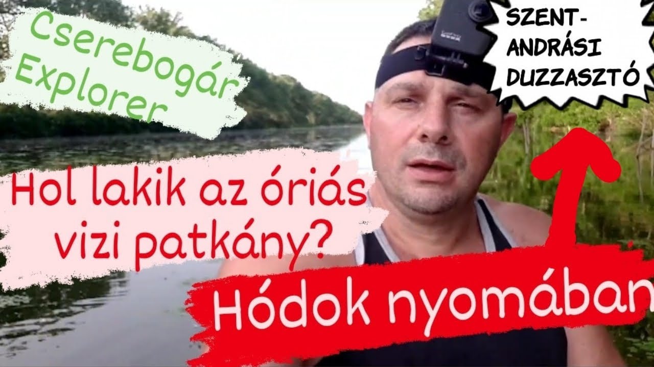 A hódok nyomában Mezőtúr alatt