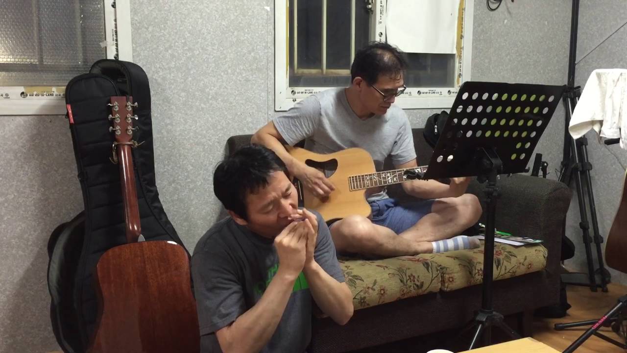 월량대표아적심 다이아토닉하모니카C키 (뮤트의라이브)