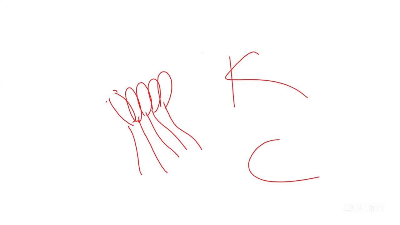 SHEBAH SRT 6 BIOLOGY DISCUSSION