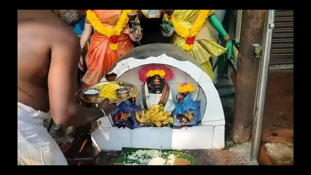 Suriya bhagwan komatha cow poojai 01 03 2026 founder a n subramanisivagamiadhiparasakthitrust 