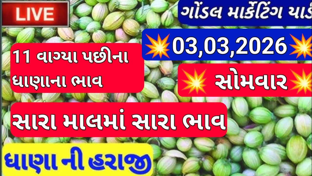 નવા ધાણાના બજાર ભાવ / નવા ધાણા ના બજાર ભાવ આજના / ગોંડલ ધાણા ના બજાર ભાવ /03,03,2026 dhaniya ka bhav