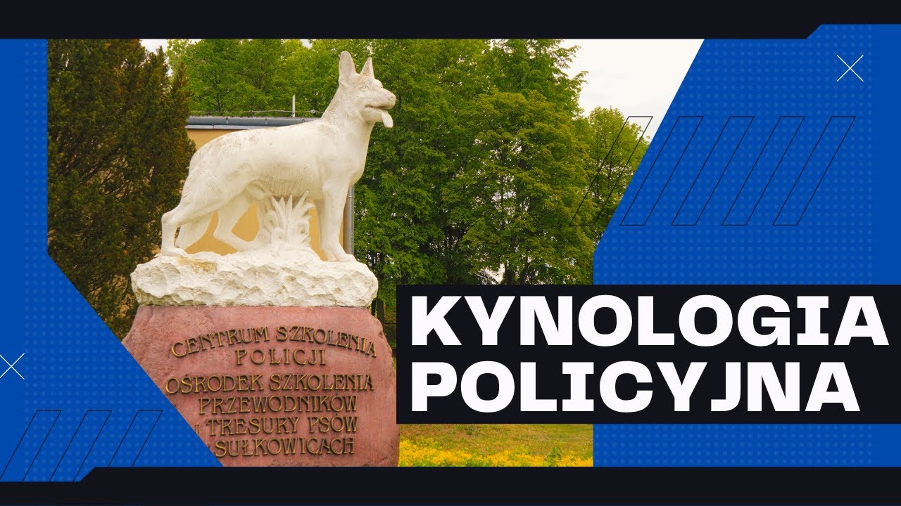 Szkolenie psów policyjnych