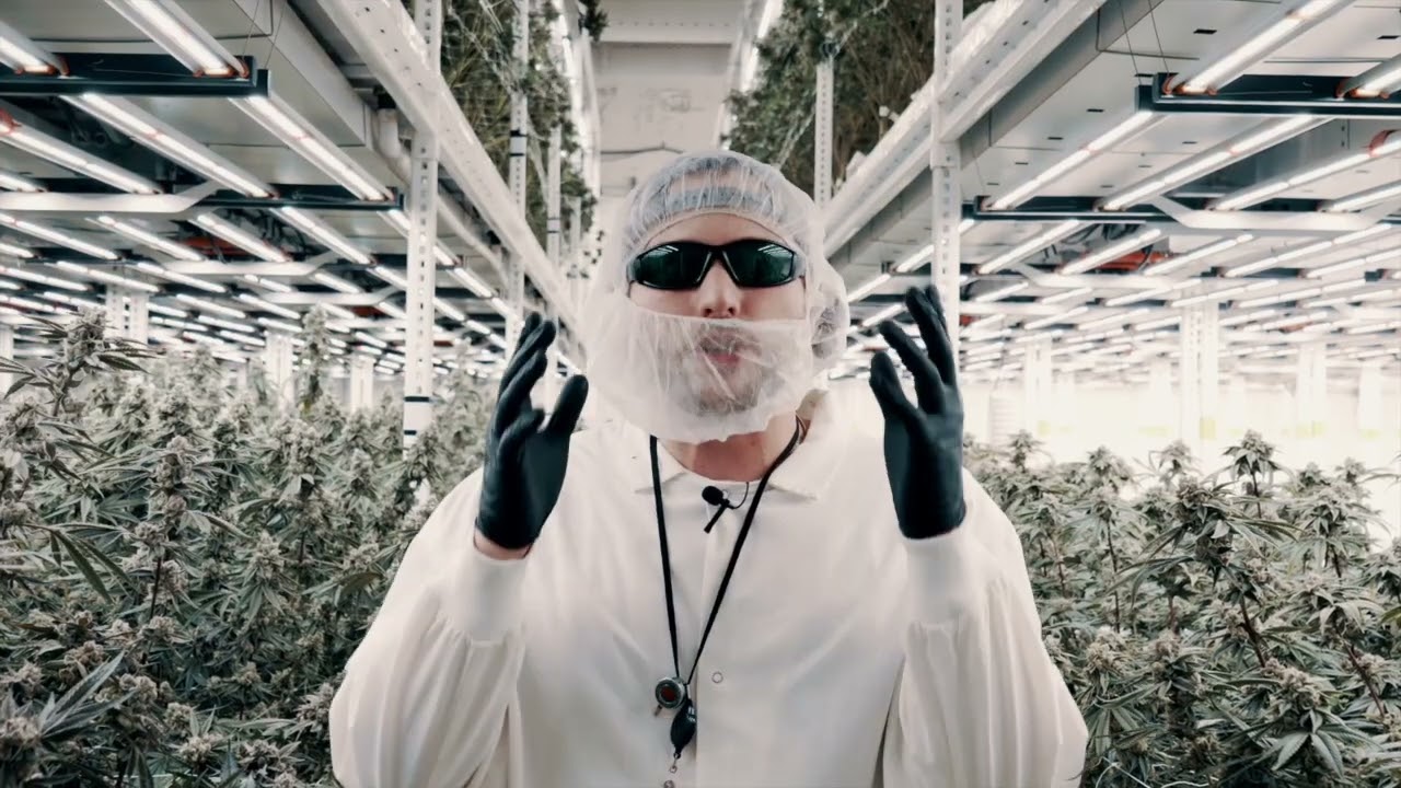 Discover Khalifa Kush&rsquo;s Baby Turtle Hybrid Strain | Trulieve