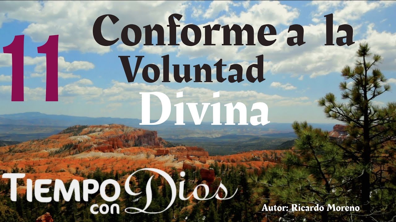 TcD 11 de Febrero 2026 (S. Mateo 12:38-50 RVR1960)