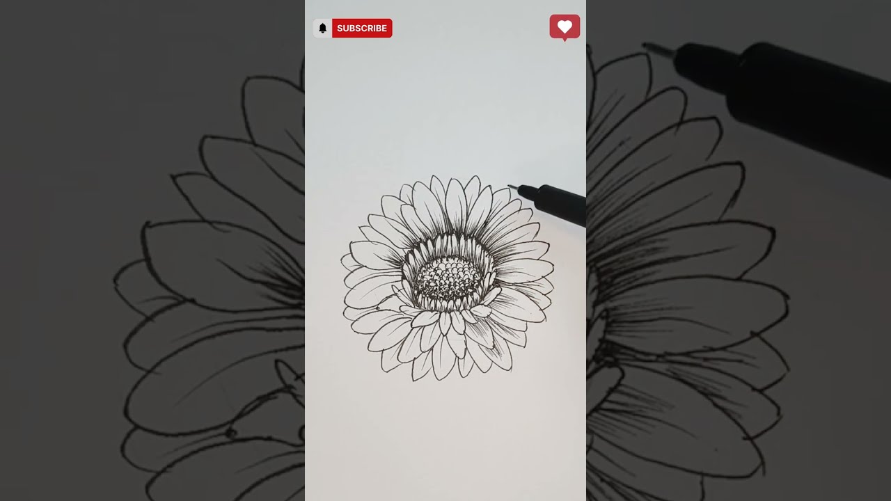 Dahlia Flower Drawing for beginners with easy steps 