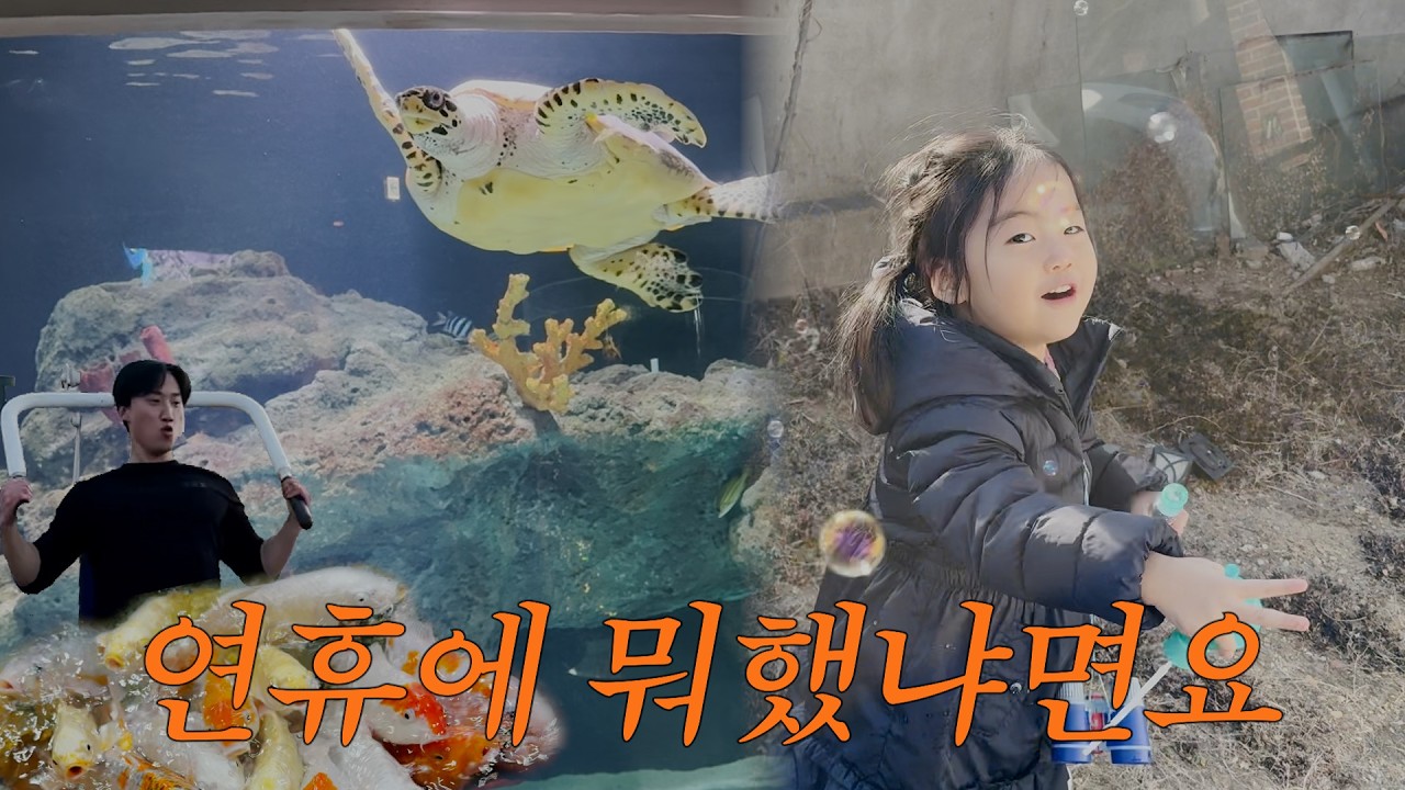 아줌마브이로그 ep.6 l 연휴에 뭐했냐면요... 대전 엑스포 아쿠아리움 갔다가 먹고 뛰고 또 먹은 하루하루하루