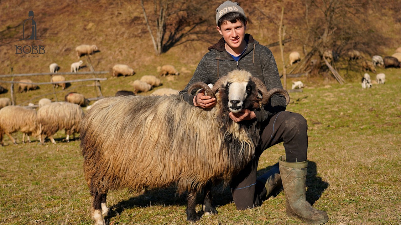 Râdeau de mâinile lui CRĂPATE, dar cu ele își câștigă PÂINEA | Povestea tânărului cioban Andrei