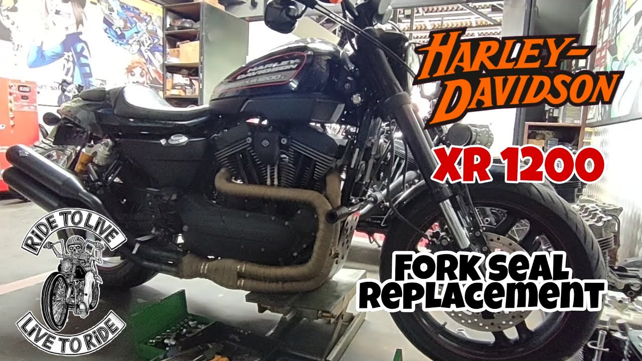 HARLEY-DAVIDSON XR1200                                           SEAL FORK REPLACEMENT