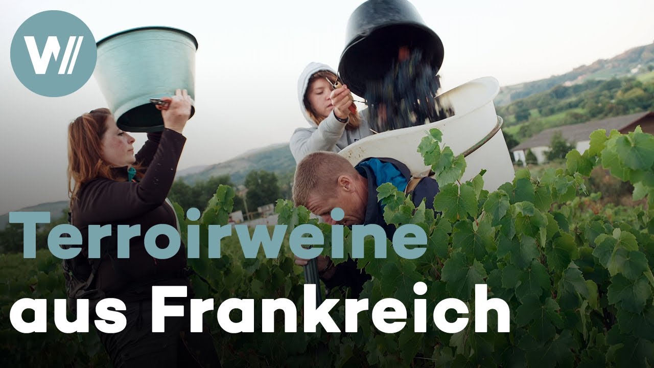 Frankreich: Terroirweine in bester bäuerlicher Tradition