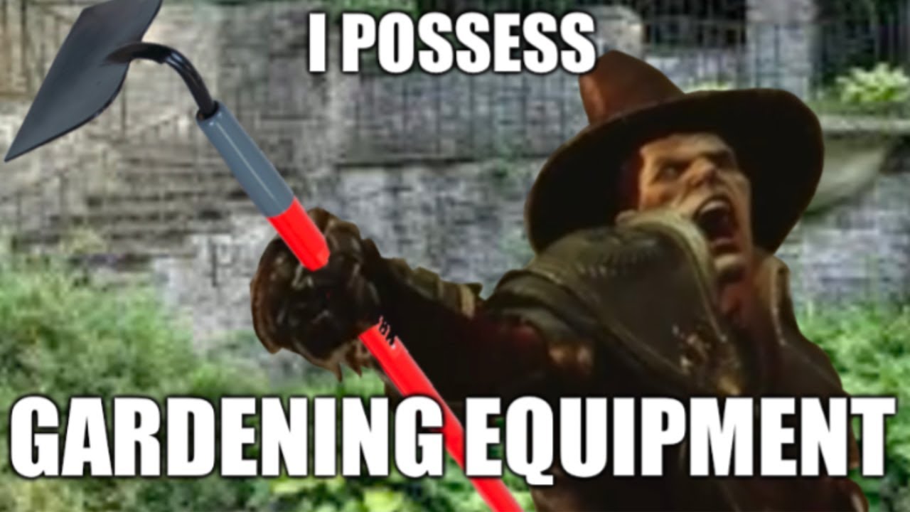 Saltzpyre's Hoes (Warhammer: Vermintide 2 meme)