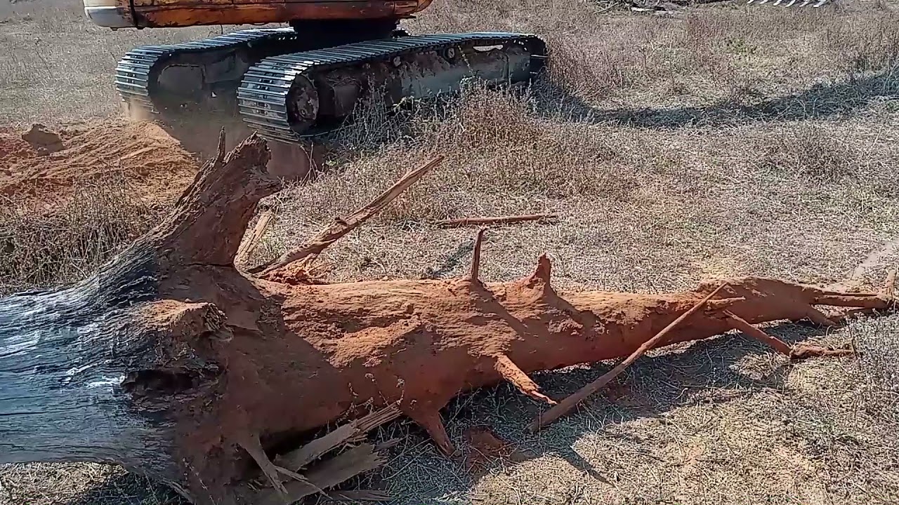 ESCAVADEIRA HIDRÁULICA ARRANCANDO TOCO EM PASTAGEM DEGRADADA PARA PLANTAR SOJA