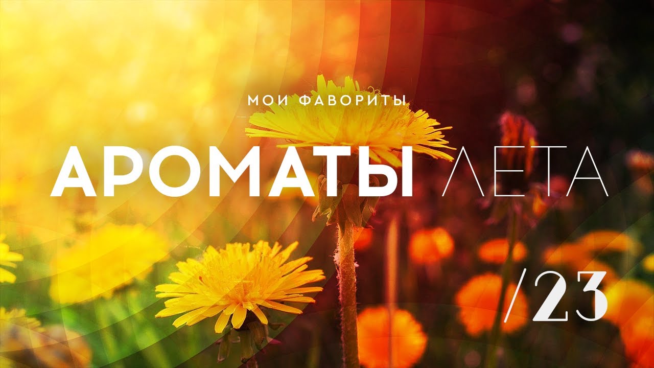 ТОП АРОМАТОВ ЛЕТО-23: мои любимчике в прошедшем сезоне