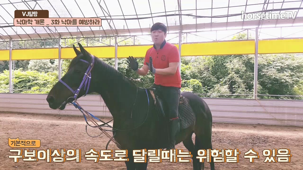 horsetimeTV 낙마학 개론 _ 제3화  낙마를 예방하라 ( 승마 & 외승  함께해요 )(  horse riding )