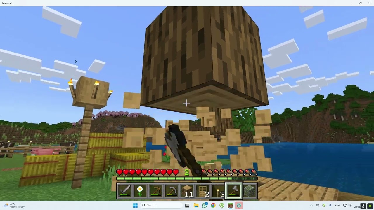 Minecraft Survival - Episodul 2 - Infrumusetam satul