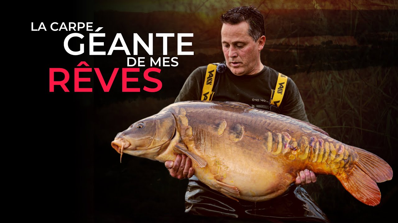 LA CARPE GEANTE DE MES REVES | STEPHANE GENTILE | PECHE A LA CARPE | ONE MORE CAST
