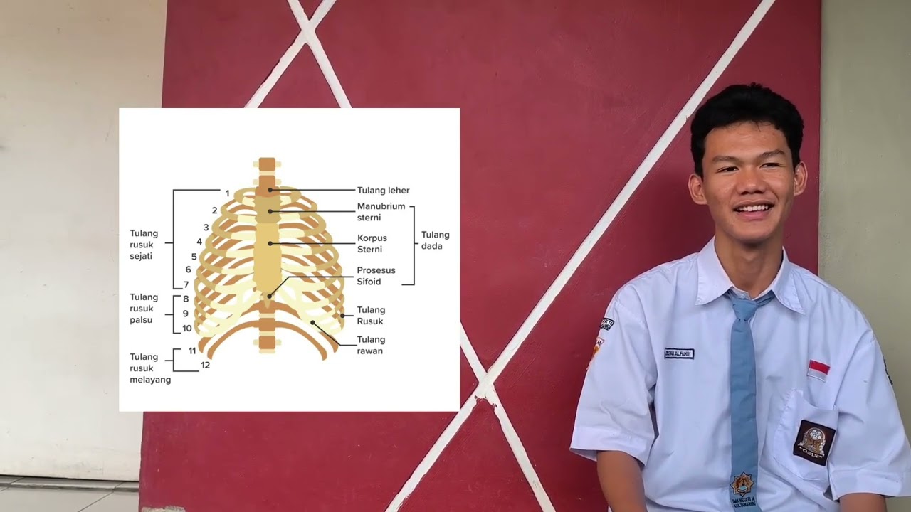 NAMA NAMA KERANGKA MANUSIA 11 IPA 1