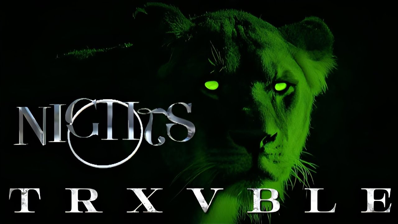 TRXVBLE - Nights
